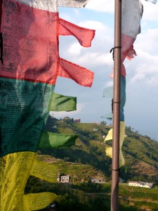 Photo:  Richard Steggall